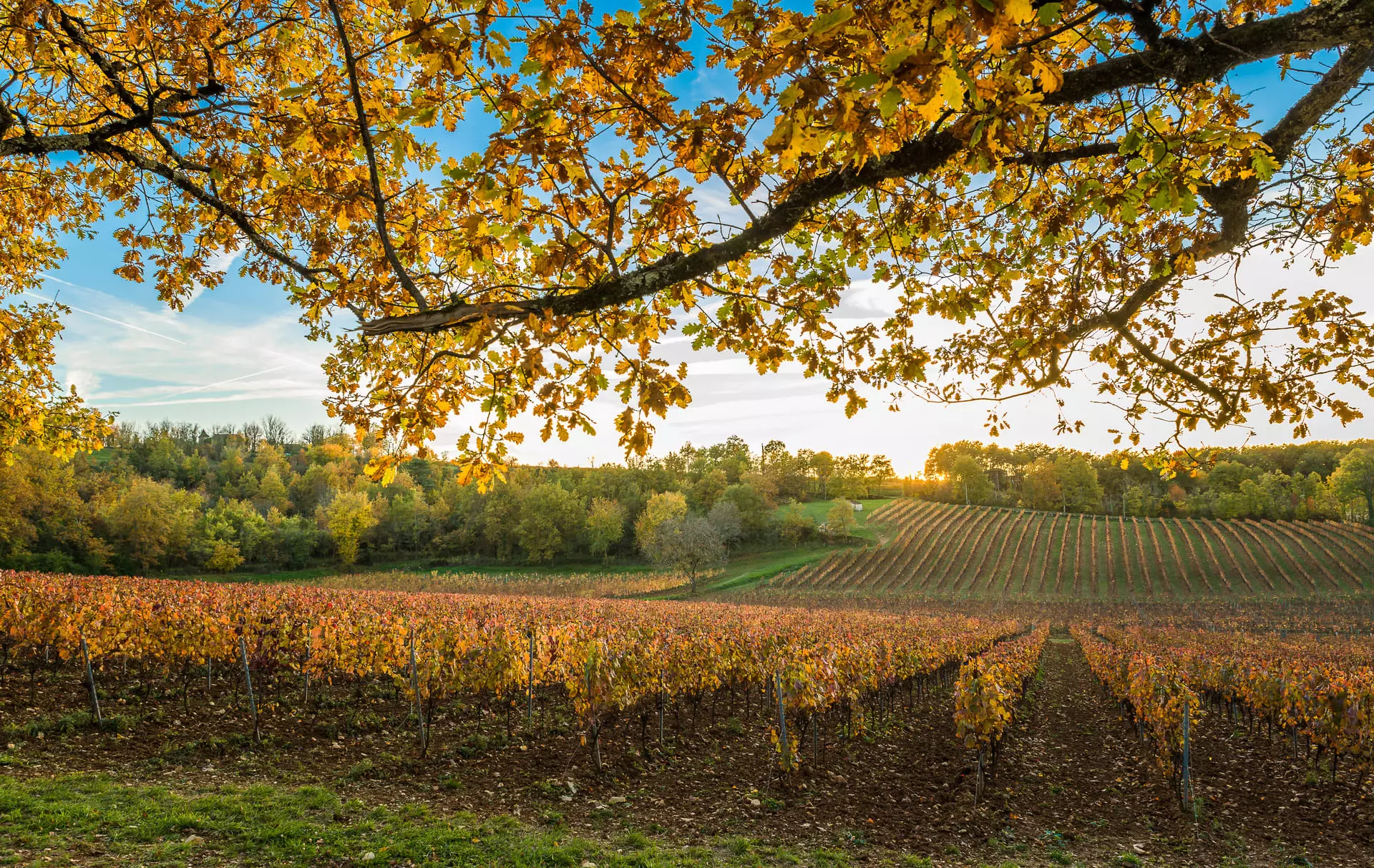 chateau croisille-terroir