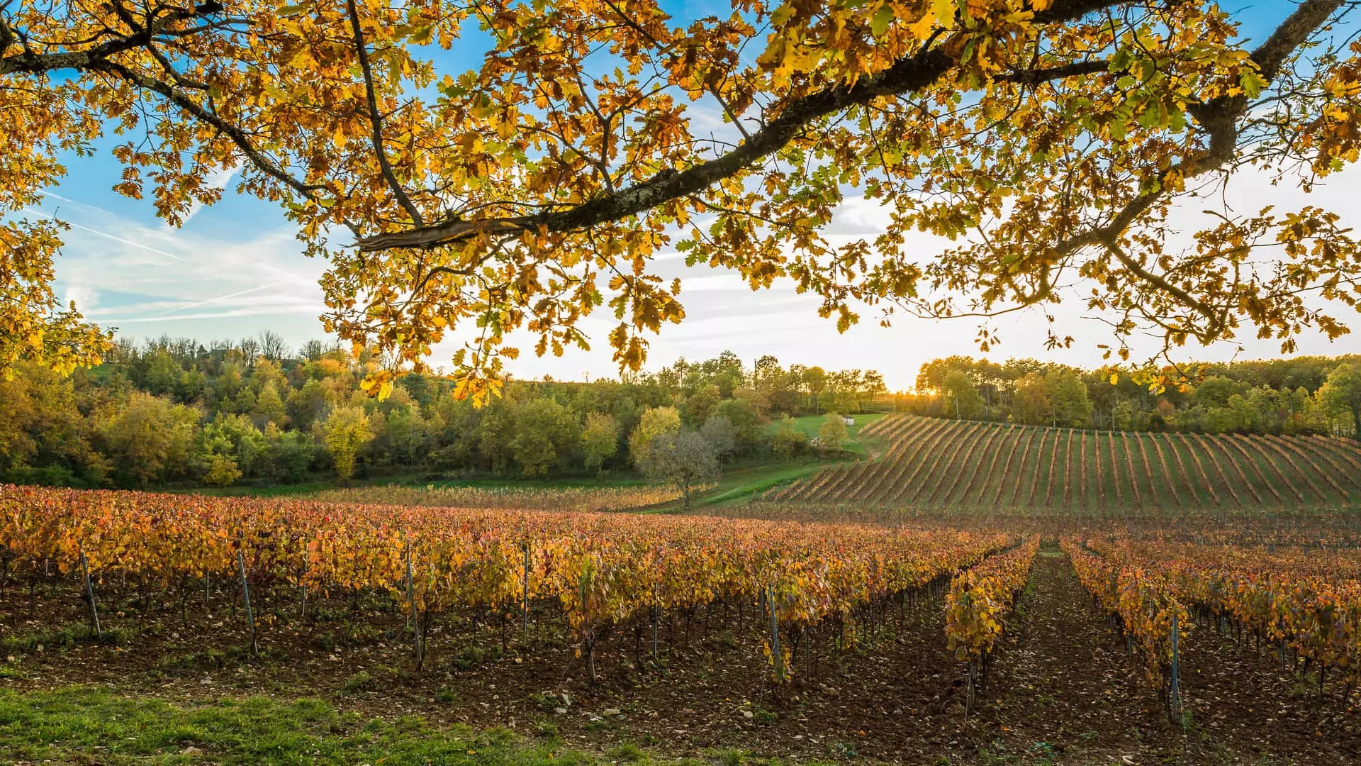 chateau croisille terroir