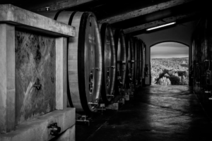 Domaine-les-croisille-8590